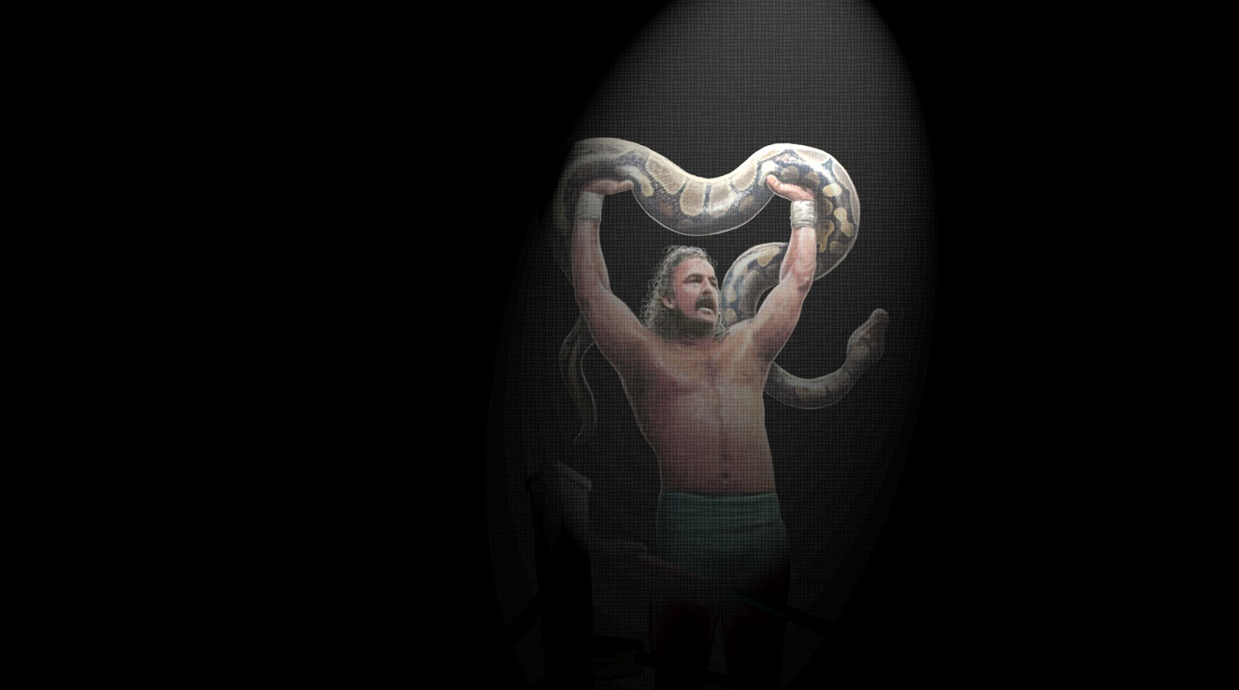 The Resurrection Of Jake The Snake Dvd