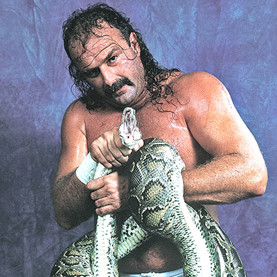 Jake The Snake Roberts